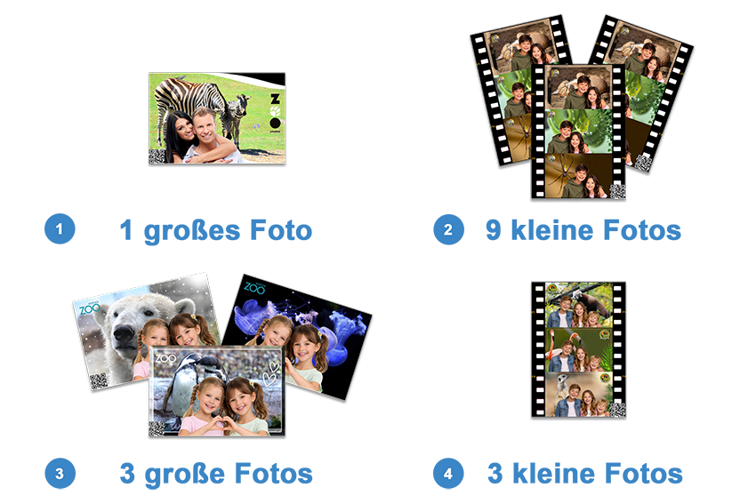 Wyb&oacute;r pakietu